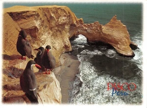 PERU PISCO - Picture 1 of 2