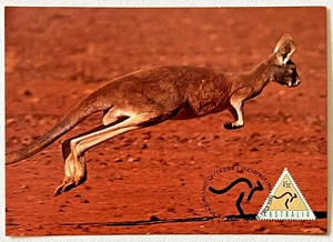 1994 Kangaroo Triangle Automatic Teller Machine Stamp Maximum Card Maxi Card - Picture 1 of 2