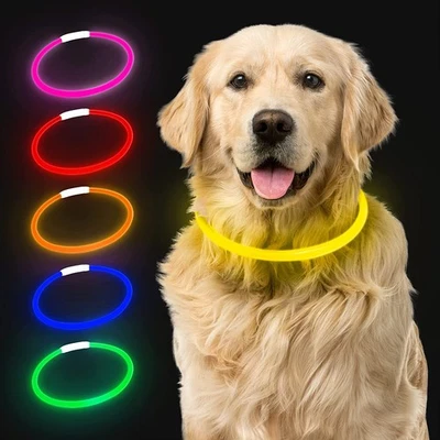 Dog Collar LED Light Up Flashing USB Rechargeable Pet Luminous Safety Nylon