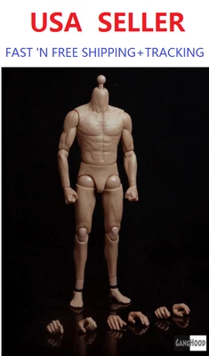 GangHood 1/6 Scale Asian Muscle Body 2.0 Version For Hot Toys Bruce Head Sculpts