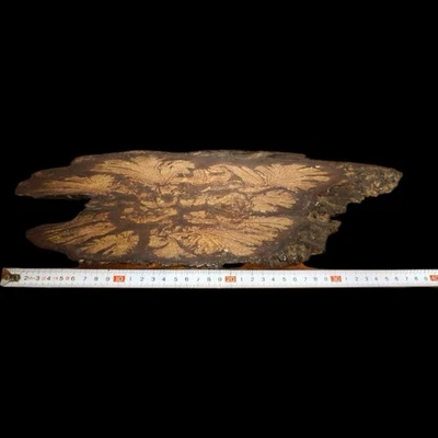 Mesa Bonsai Japonesa de Madera KADAI Soporte Ikebana Foto 1 de 3