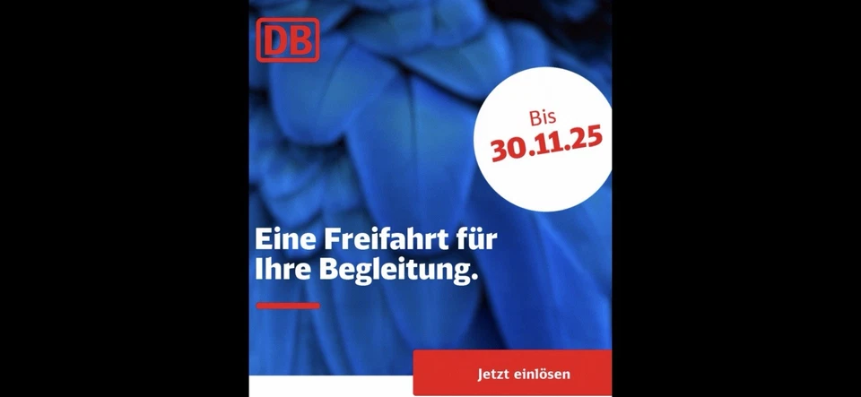 Mitfahrerfreifahrt Deutsche Bahn – Platin Status (1. / 2. Klasse) Gutschein DB - Bild 1 von 1