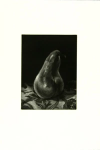 JUDITH ROTHCHILD b1950 La Poire - Picture 1 of 1