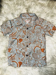 Cat & Jack Kleinkind Junge Obst Druck Button-Down-Shirt Größe 5T - Bild 1 von 4