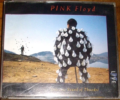 Doppel CD - PINK FLOYD - Delicate Sound of Thunder - Live - sehr guter Zustand - Bild 1 von 2