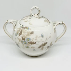 T&V blue florals sugar bowl with lid Hand Painted Gold Painted Outline China - Picture 1 of 15