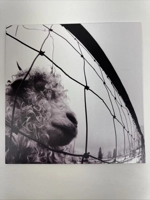 Pearl Jam Vs. Vinyl LP Reissue  Remastered 2011 Epic/Legacy Foto 1 de 4