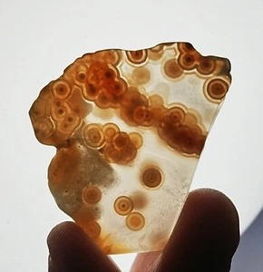 Natural Round Eye 8th Vein Ocean Jasper Agate Quartz Reiki Stone Healing - Picture 1 of 13