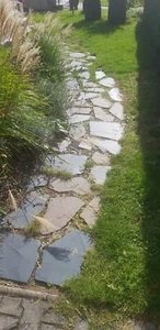 Gehwegplatten Naturstein - Bild 1 von 3