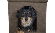 pet ottoman den dog bed