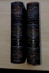 Illustrated London W Bicknell c1846 plates by Albert Payne pub Brain & co - Picture 1 of 11