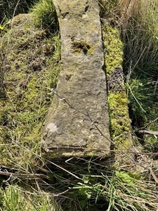 Garden Feature Standing Stone - Picture 1 of 4
