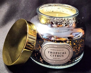 Home & Body Co Tropical Citrus Soy Wax Blend w Essential Oil 12 oz Silver Candle - Picture 1 of 4