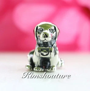 Original Pandora Sterling Silber Sennenhund Bead Charm 791515 - Bild 1 von 5