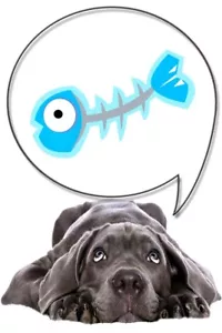 Shark Cartilage Powder for Dogs 1kg - Picture 1 of 4