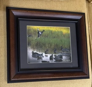 Arte enmarcado y enmarcado firmado por Mallard Ducks de colección - Imagen 1 de 6