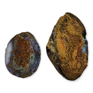 Beacon Hill Agate Faced Nodules from Oregon 254.2 grams. 2 Piece Lot - Picture 1 of 2