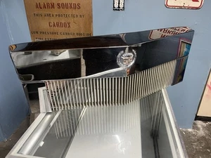 1977-79 Cadillac Deville Castle Doghouse Grille E&G  - Bild 1 von 5