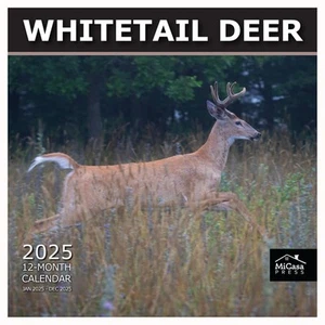 - Whitetail Deer 2025 Wall Calendar 12 Month | 12" x 24" Open | Thick & Sturd... - Picture 1 of 6