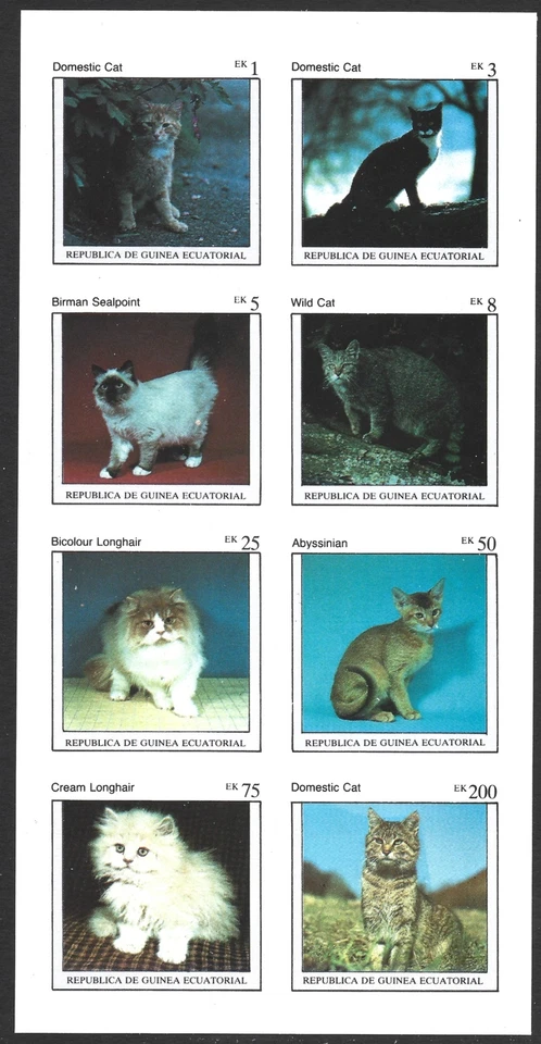 Equatorial Guinea, Cats, MNH Imperf M/S Sheet of 8 Stamps #M1951 - Image 1 of 1