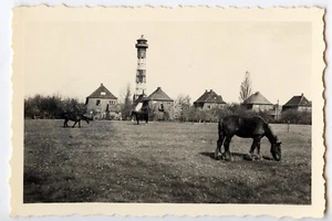Paysage champ cheval pylone maisons - photo ancienne an. 1950 - Picture 1 of 1