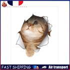 14147 Cat Vivid 3D Smashed Switch Wall Sticker Bathroom Kicthen Decorative Fr