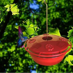 Alimentador de proteínas de colibrí y néctar colgante Humm Yumm plástico transparente rojo - Imagen 1 de 2