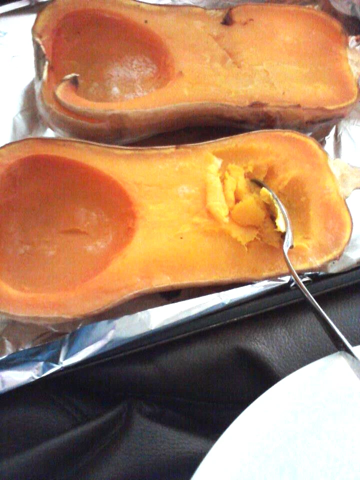 24 SEMILLAS - BUTTERNUT DE CALABAZA - GroCo EE. UU. - COMPRA 15 ARTÍCULOS - PIDE ENVÍO GRATIS Foto 1 de 1