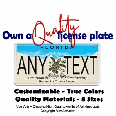 Florida Sea Turtles matrícula personalizada motocicleta bicicleta llavero equipaje Foto 1 de 4