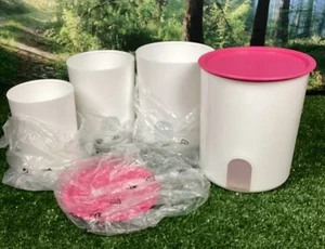 Tupperware Reminder Canisters Set White  w/ Confident Pink One Touch Seals New - Picture 1 of 2