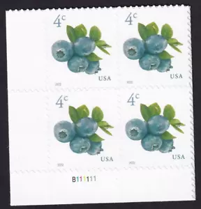 Scott #5652-5653 Blueberries Plate Block of 4 Stamps - MNH - Picture 1 of 1