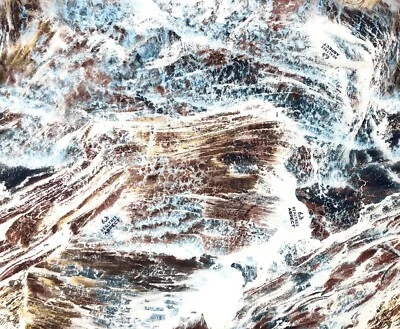 Tela exterior resistente al agua ToughDuck 600D de lona impresa con aspecto Realtree 59" Foto 1 de 2