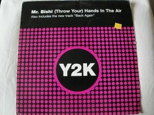 MR. BISHI (THROW YOUR) HANDS IN THE AIR/ BACK AGAIN 12" VINYL SINGLE UK Y2K EX - Picture 1 of 4