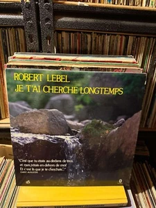 Robert Lebel – Je T'Ai Cherché Longtemps Vintage 33rpm VG+ AB67 - Imagen 1 de 2