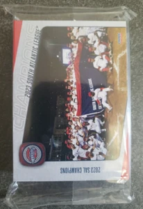 Juego de equipo Greenville Drive Sal Champions 2023 - Christian Campbell & Roman Anthony - Imagen 1 de 3