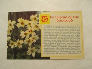 The Legend of Dogwood Postcard - Picture 1 of 2