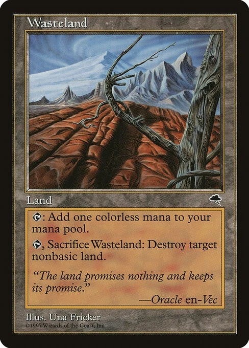 Magic The Gathering Land Wasteland Tempest English Version Used - Image 1 of 1