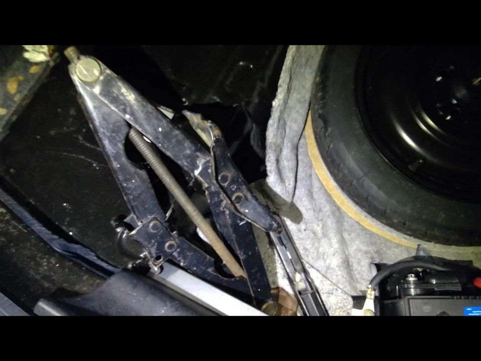 Gato y mango ION 2004 1622248 Foto 1 de 4