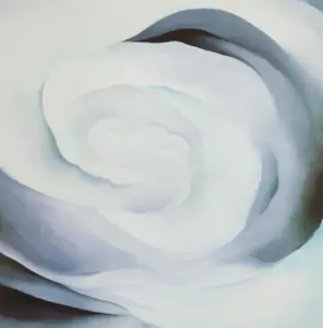 Georgia O' Keeffe Abstraktion weiße Rose botanische Blumen Kunstdruck Buchteller 40 - Bild 1 von 5
