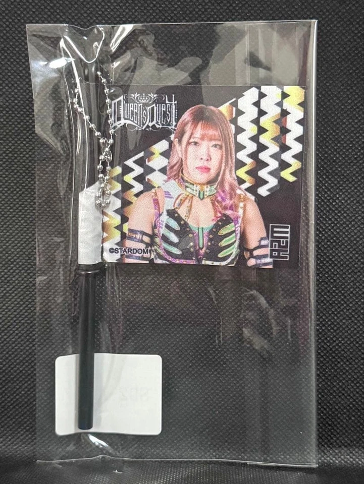 Llavero bandera STARDOM AZM insignia de metal usado ppk Foto 1 de 1