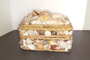 Muschel Schmuckschatulle - Bild 1 von 15