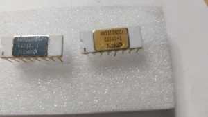 2x AM9112ADC/C2112-1 - AMD - SRAM,256X4,MOS,DIP,16PIN,KERAMIK, Gold - Bild 1 von 3