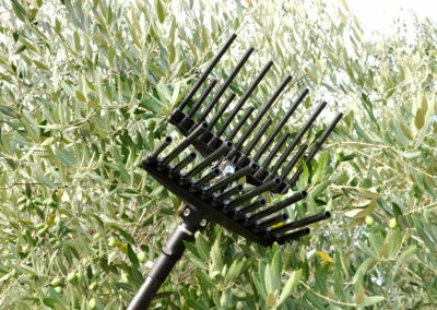 Lisam MG magnesium abbacchiatore pneumatico a pettine per raccolta delle olive