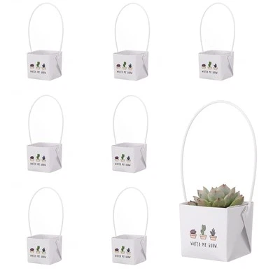 40 piezas “Watch Me Grow” Suculentas Envolturas se Adaptan a 2” Maceta Bolsa de Regalo Decoración Favores Caja Foto 1 de 4