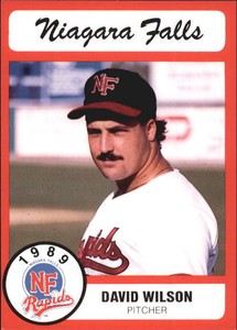 1989 Niagara Falls Rapids Pucko #24 David Wilson