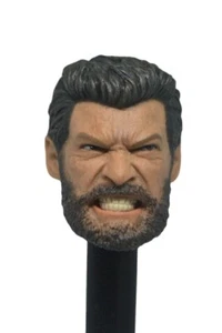 Escultura de cabeza de Logan personalizada 1/6 para figura Phicen Coo de Hot Toys - Angry Expression - Imagen 1 de 7