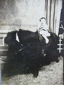Child on Black Pony Little Horse Early Studio RPPC Real Photo AZO Postcard - Picture 1 of 3