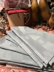 6 Beautiful Blue Napkins 19x 19 - Picture 1 of 2