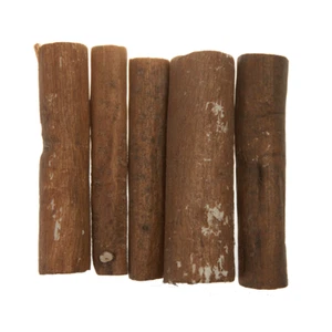 Pithwood Pith Wood Watch Parts Tool Cleaning Polishing Oil Grease Natural x5pcs - Picture 1 of 3