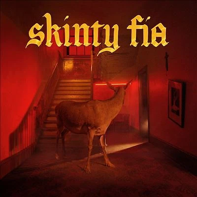 Skinty Fia by Fontaines D.C. (CD, 2022)